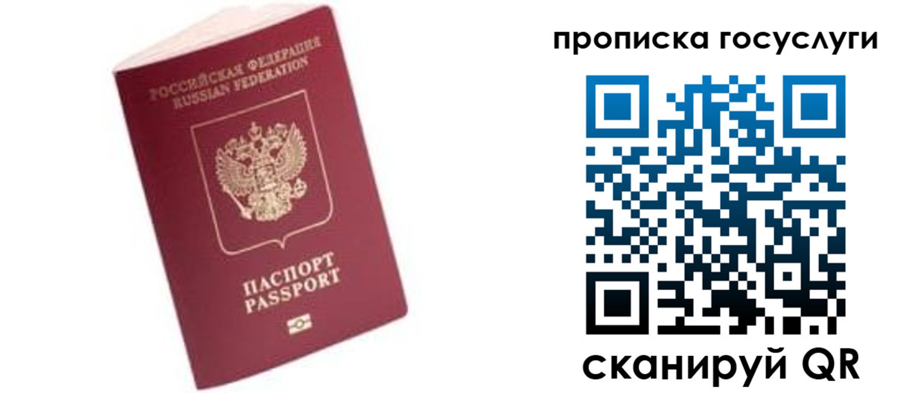 прописка в Ершове